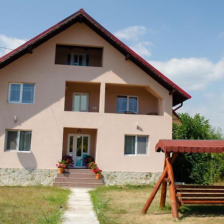 Pensiunea Aly Bumbesti Pitic Exterior foto