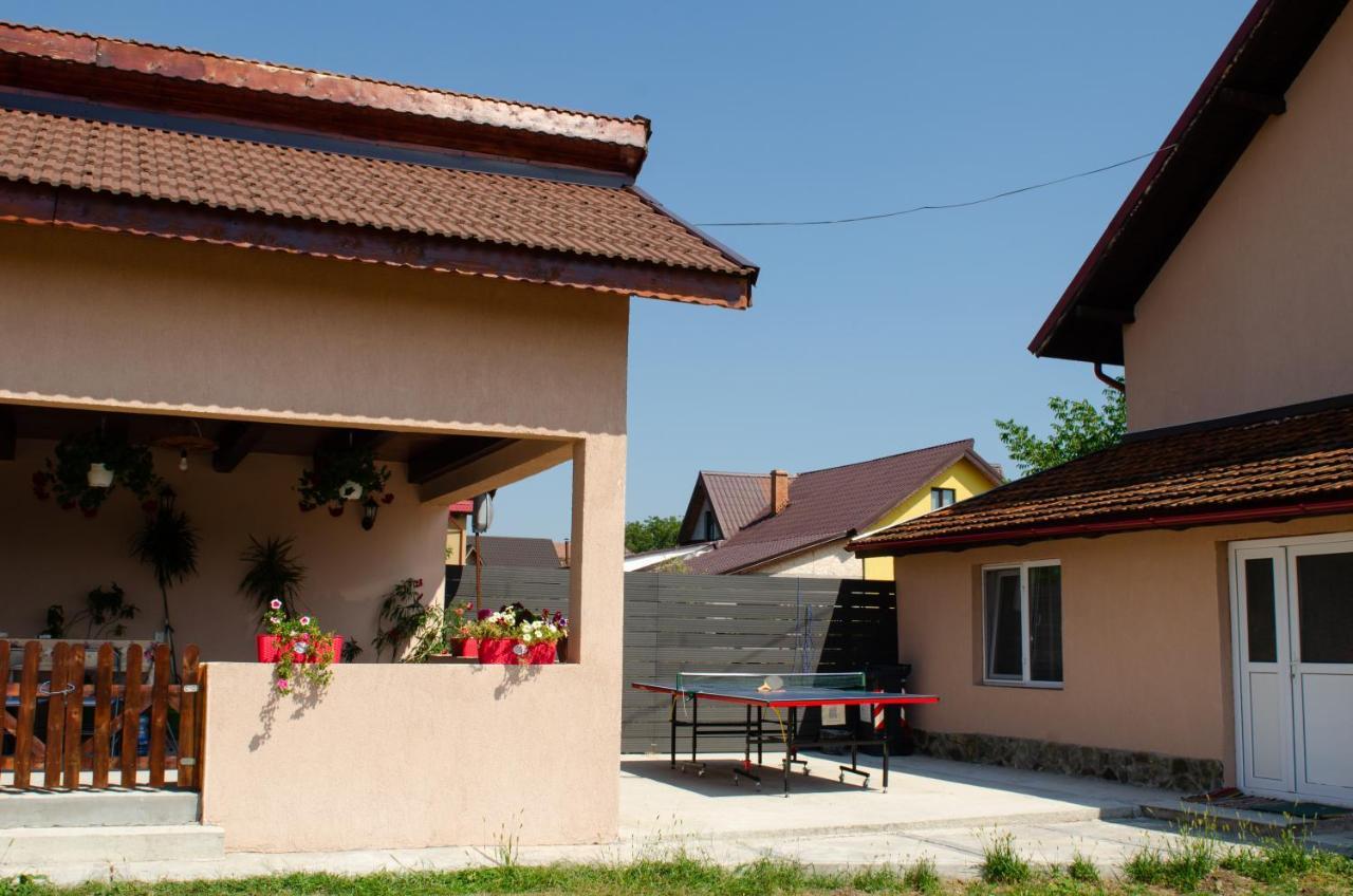 Pensiunea Aly Bumbesti Pitic Exterior foto